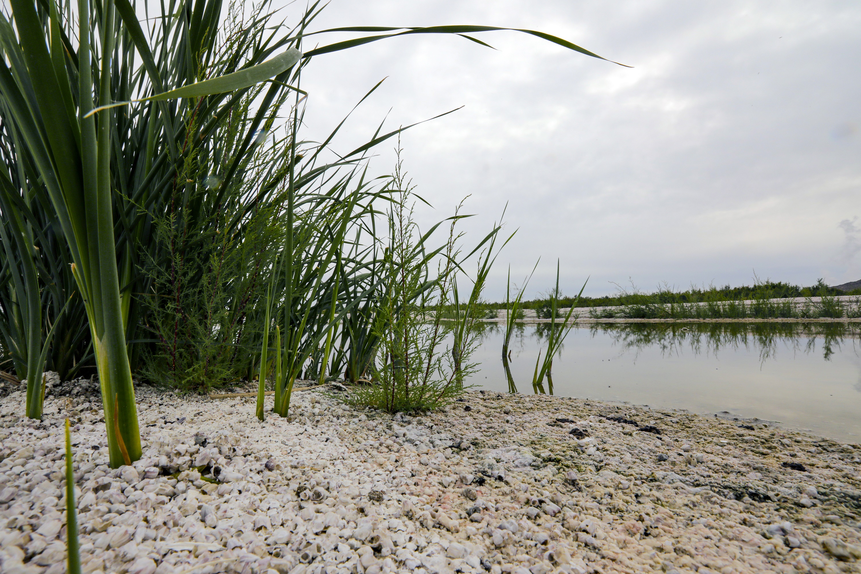 Can Lithium Cure What Ails the Salton Sea? - Vimarsana News