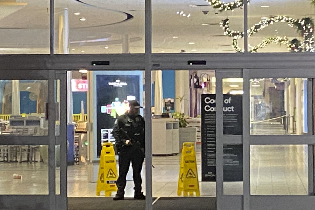 At Least 1 Injured in Black Friday Mall Shooting in Washington | The ...