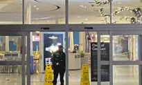 At Least 1 Injured in Black Friday Mall Shooting in Washington