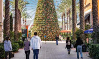 Family-Friendly Holiday Events in Orange County