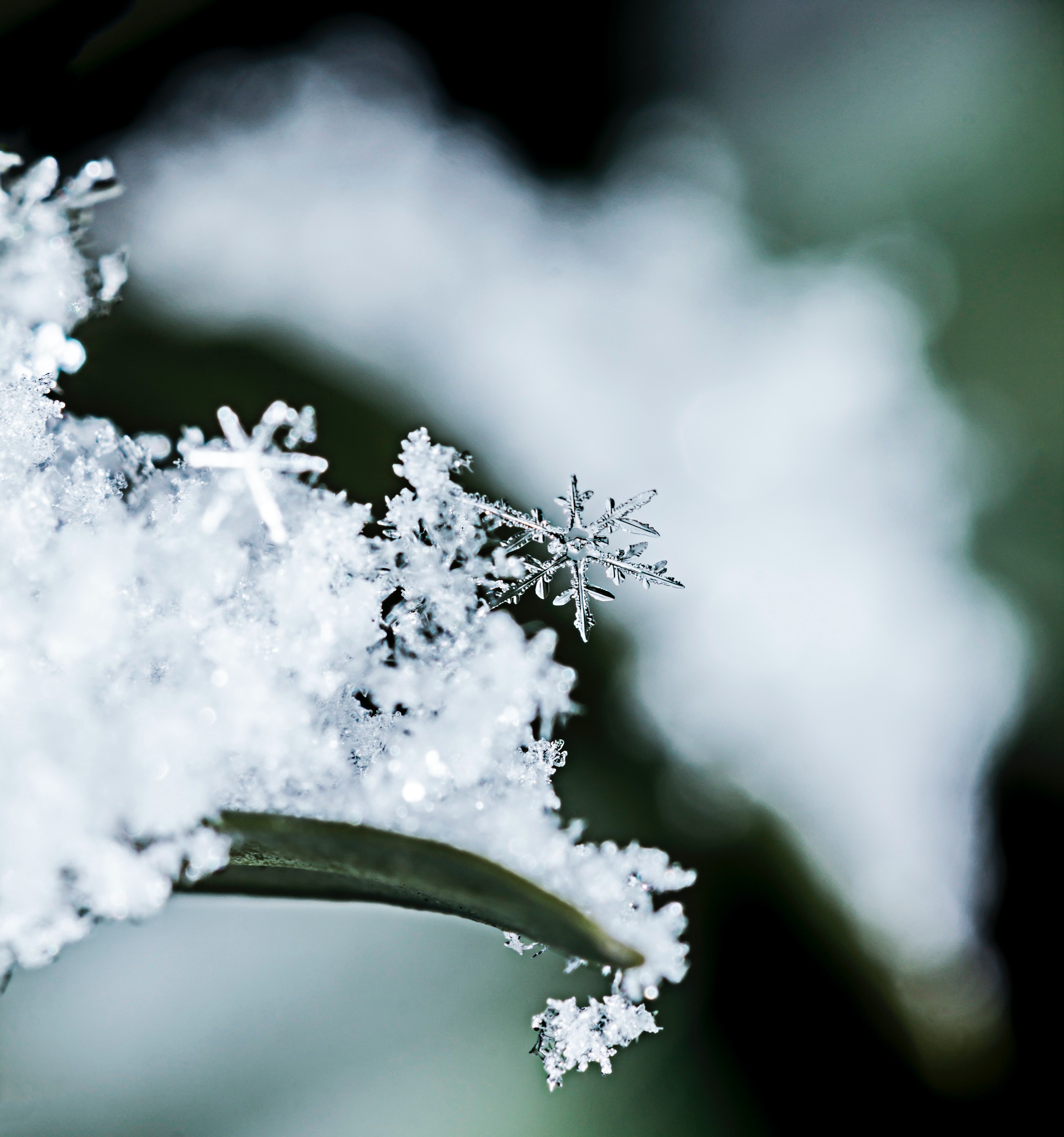 When Cold Yin Energy Reaches Its Peak, Protect Your Heart - Vimarsana News