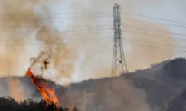 Study: Wildfires Canceled California’s CO2 Gains