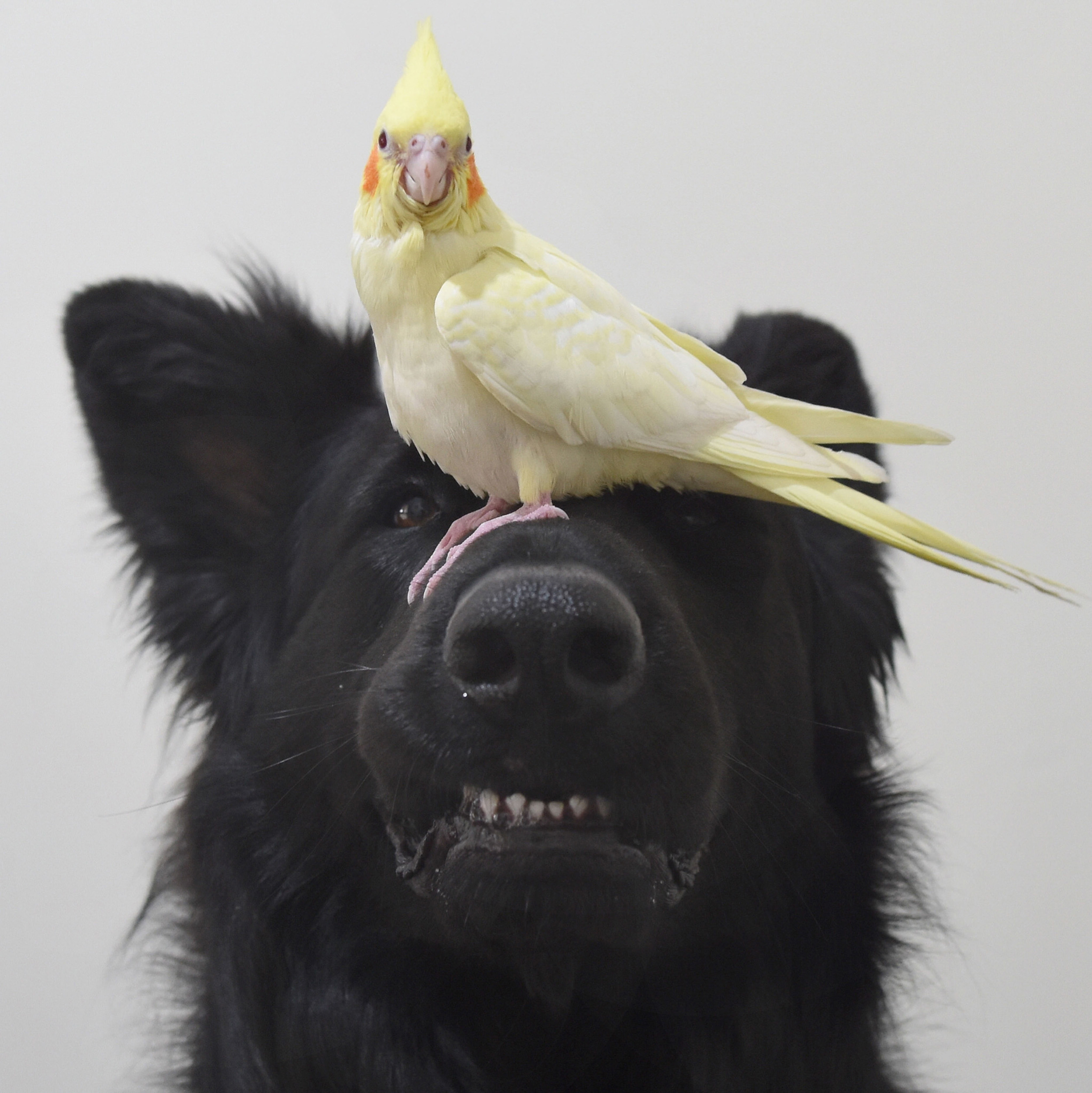 Epoch Times Photo