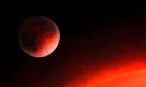 Hot Little Planet as Dense as Iron Zips Around Red Dwarf Star