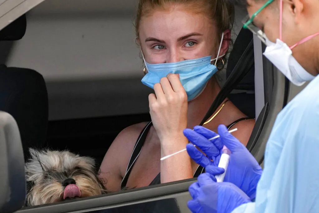 A dog keeps an eye on the presses as a woman has a swab taken at a drive-through COVID-19 testing clinic at Bondi Beach in Sydney, Tuesday, Dec. 21, 2021. (AP Photo/Rick Rycroft)