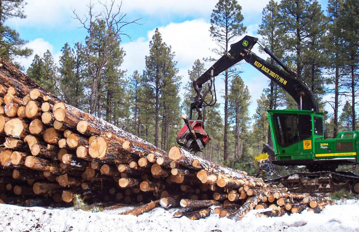 Commercial logging in the Kaibab National Forest, Arizona. (U.S. Forest Service, Southwestern Region, Kaibab National Forest, CC BY-SA)