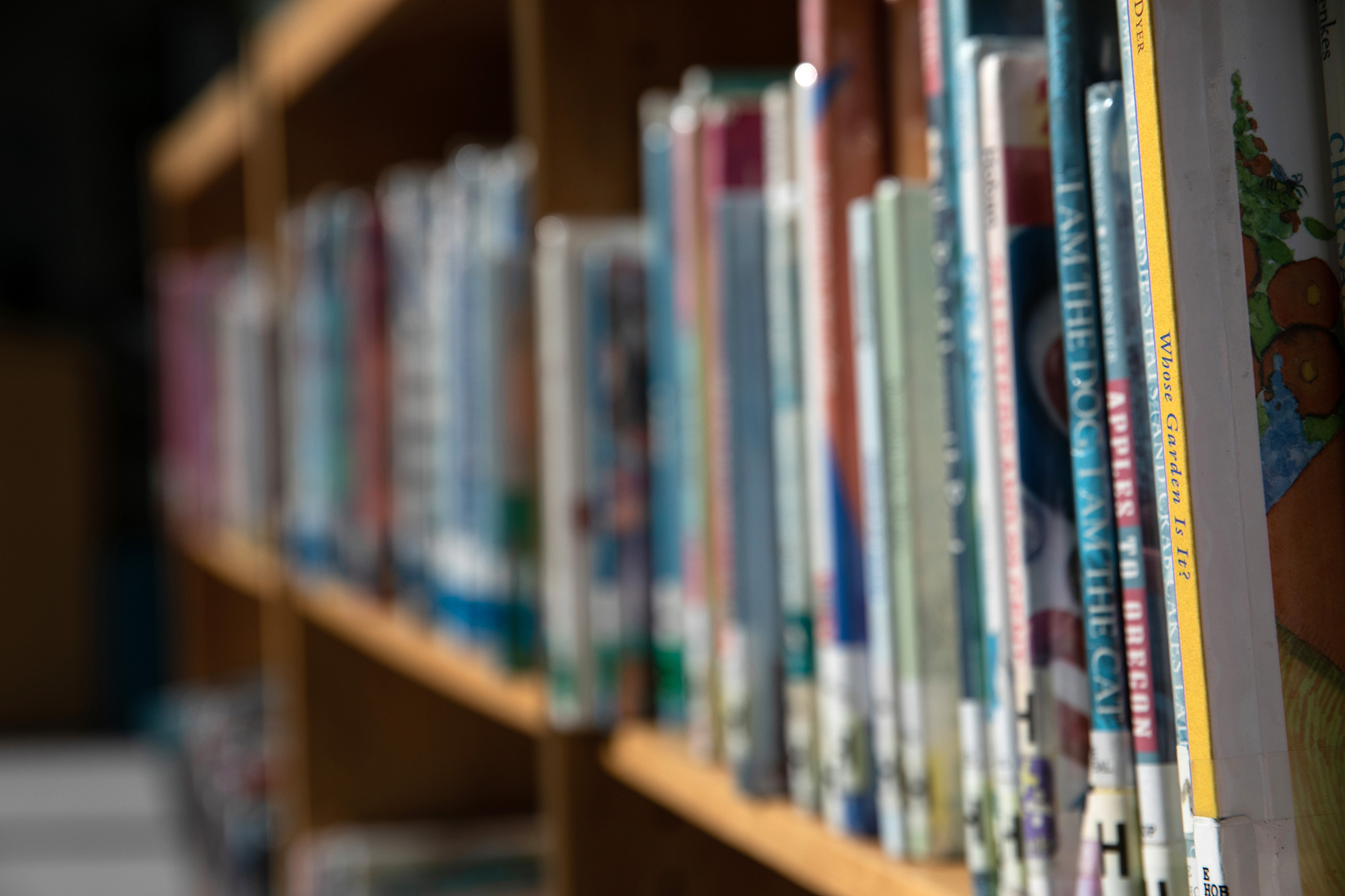 Books Including Adult Sex With Minors Back in Virginia School Library - Vimarsana News