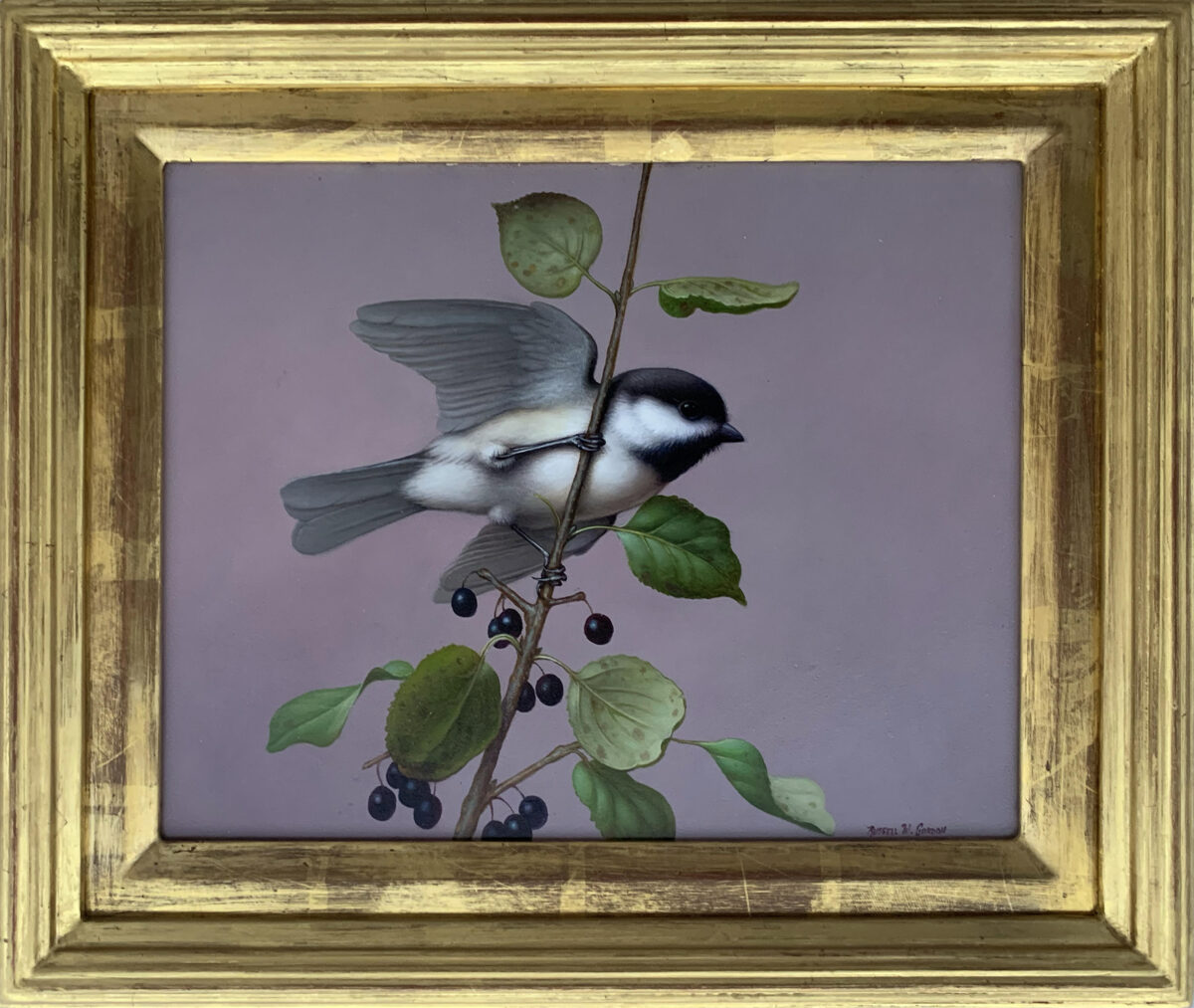 “Chickadee in Buckthorn,” by Russell Gordon. Oil on linen; 8 inches by 10 inches. (Courtesy of Collins Galleries)