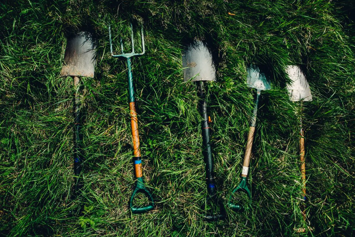 Go beyond the basics. (Unsplash)
