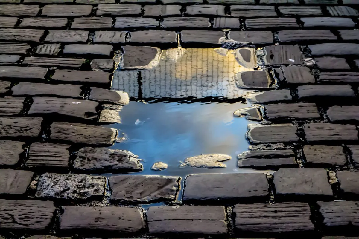 (despoticlick/Pixabay)
