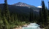 Ottawa Announces $14.7 Million to Fight Aquatic Invasive Species in Mountain Parks