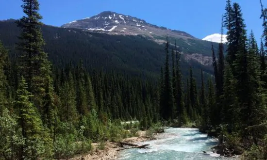 Ottawa Announces $14.7 Million to Fight Aquatic Invasive Species in Mountain Parks