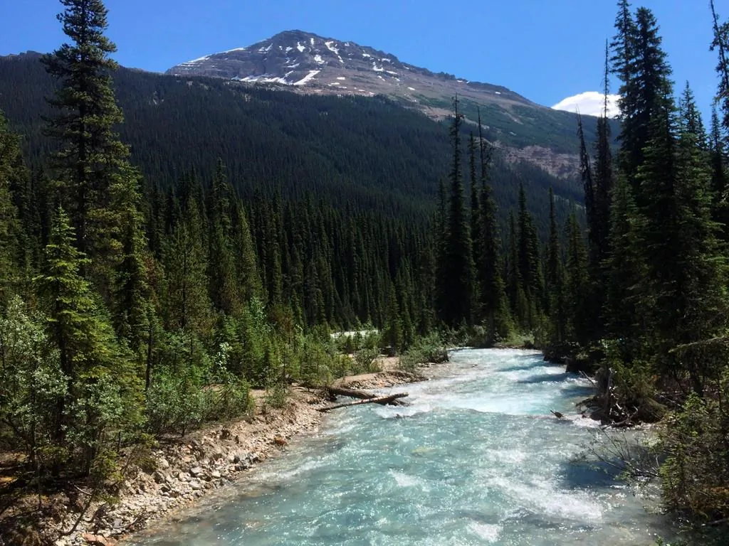 The Yoho River through Yoho National Park in Canada’s stretch of the Rocky Mountains, straddling the border of British Columbia and Alberta, is shown on July 6, 2017. (The Canadian Press/AP-Adam Kealoha Causey)