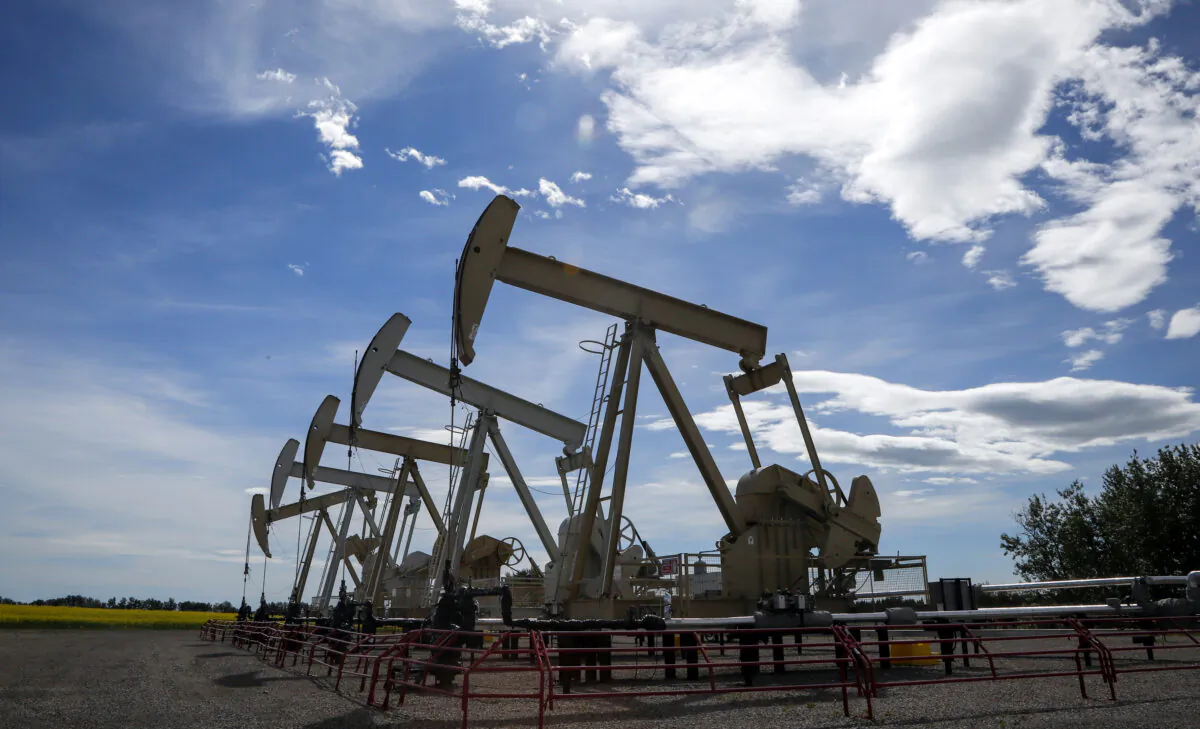 Pumpjacks draw oil out of the ground near Olds, Alberta., on July 16, 2020. (The Canadian Press/Jeff McIntosh)