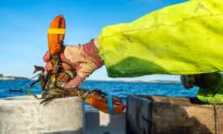 Supreme Court Denies Maine Lobstering Union’s Request to Lift Fishing Restrictions Aimed at Protecting Whales