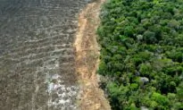 EU Delays Ban on Imports Linked to Deforestation for 2nd Time