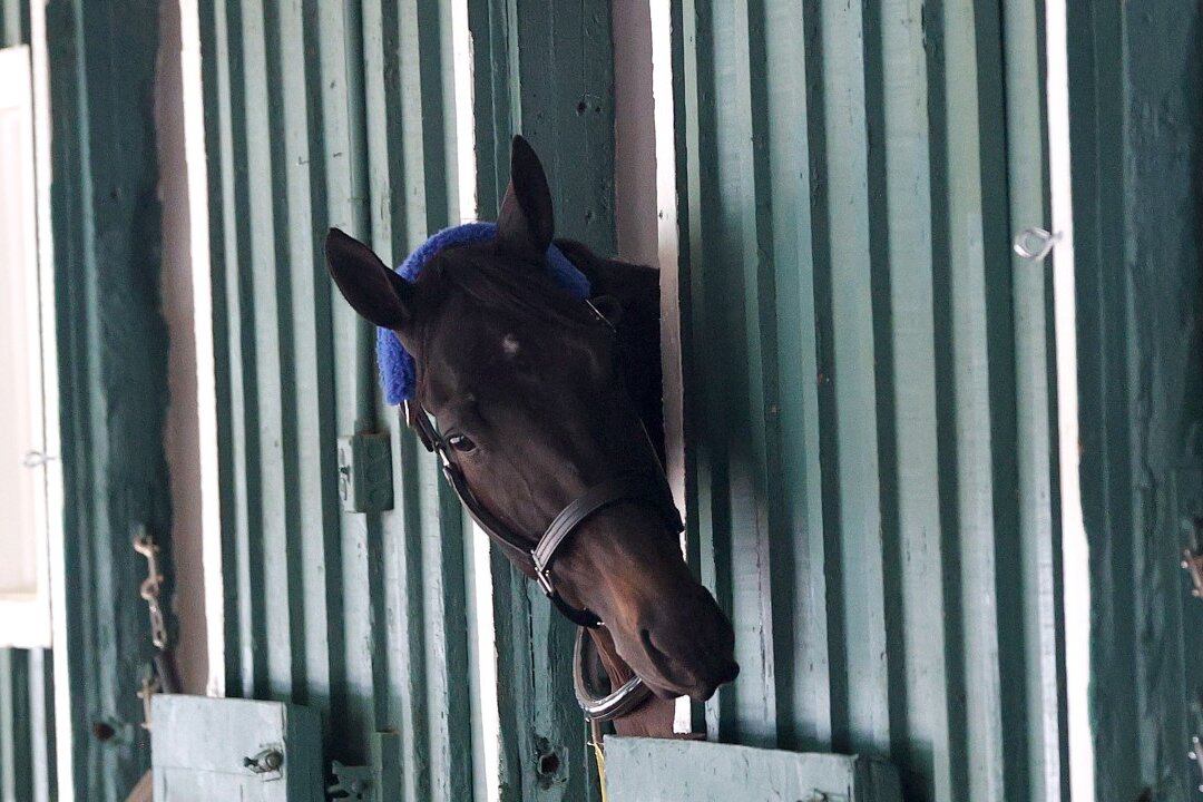 Derby Winner Medina Spirit Collapses, Dies in California | The Epoch Times