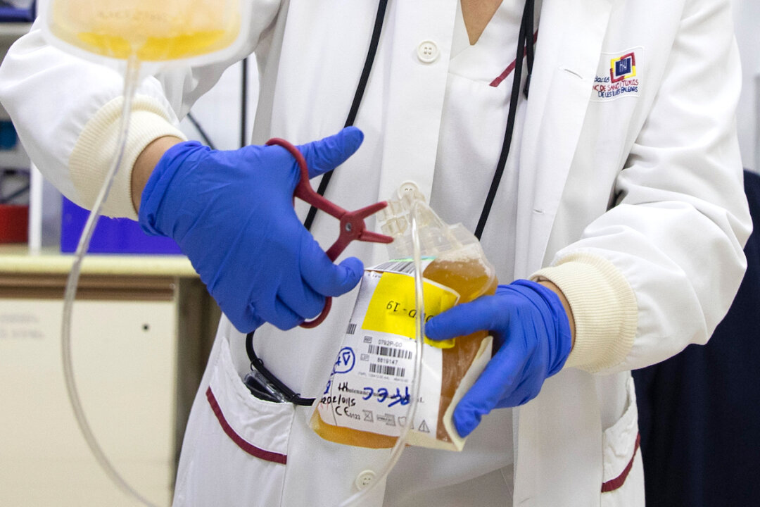 A laboratory technician prepares to process a bag of blood plasma as part of a research project on plasma from recovered patients for the treatment of COVID-19 patients, on Oct. 5, 2020. (Jaime Reina/AFP via Getty Images)