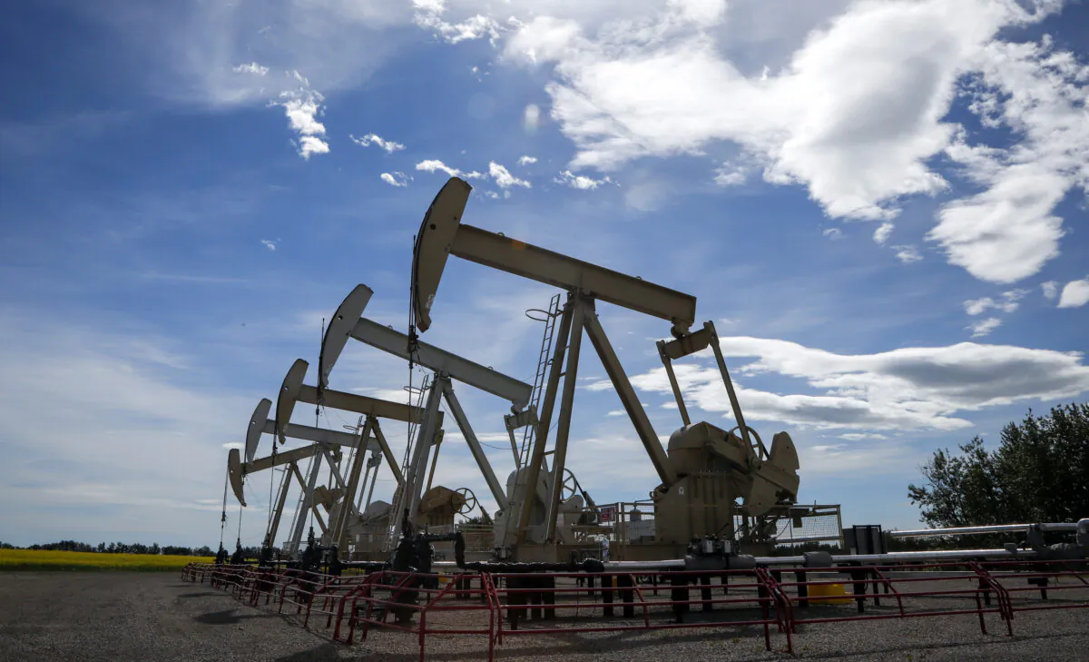 Pumpjacks draw oil out of the ground near Olds, Alberta, on July 16, 2020. (The Canadian Press/Jeff McIntosh)