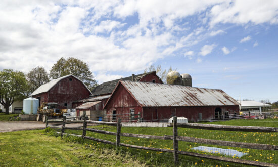 Colby Homestead Farms’ Roots Trace Back to America’s Earliest Settlers
