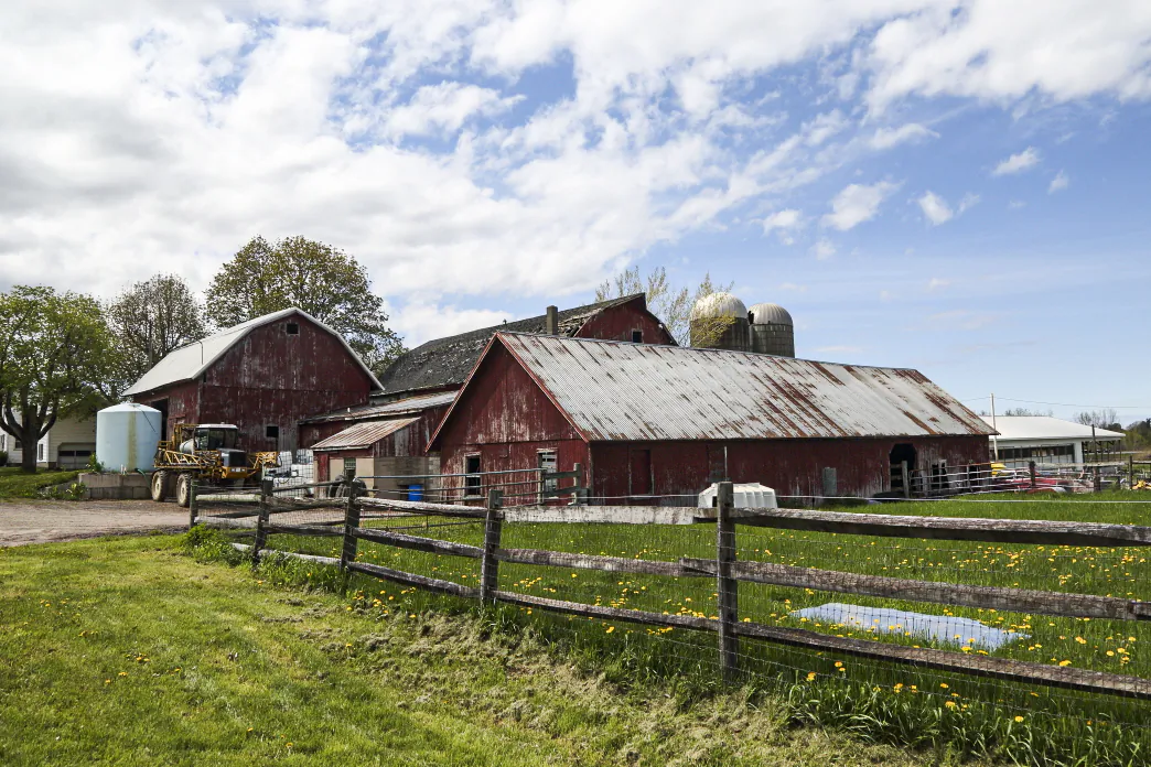 For 219 years, Colby Homestead Farms has continued farming while participating in their community. (Daniel Ulrich for American Essence)