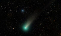 Super-Bright Green Comet ‘Leonard’ the Most Dazzling of 2021—Ramps Up for a Pre-Christmas Climax