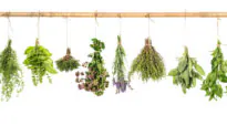 Herbs Can Help Lower Blood Pressure