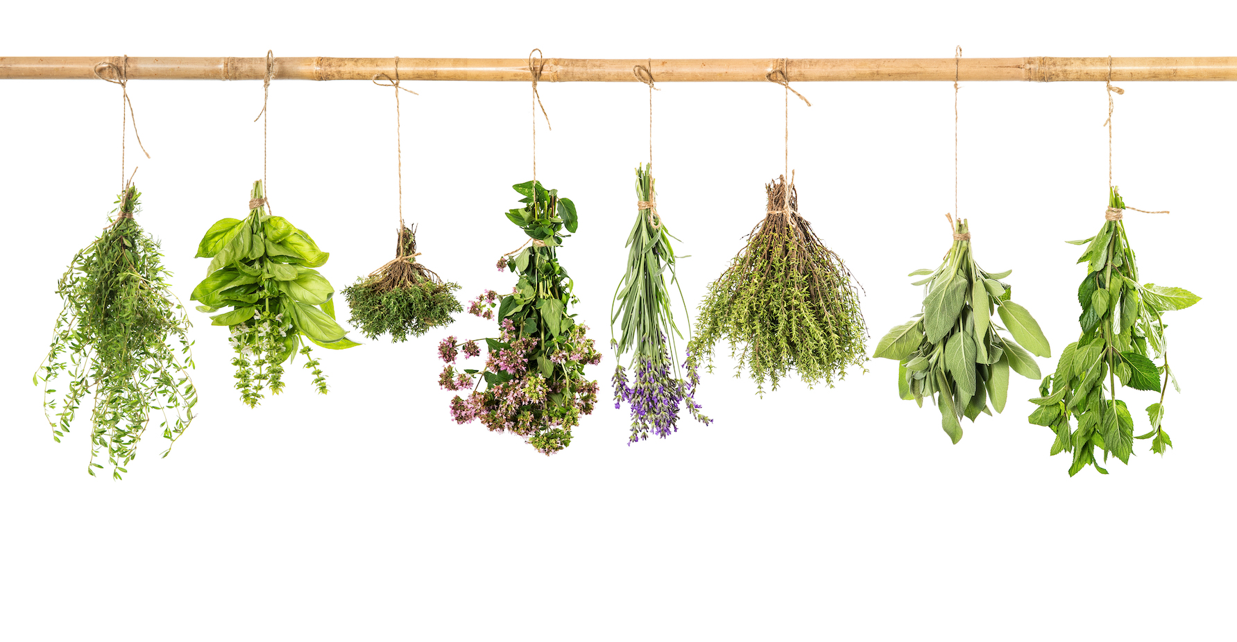 Herbs Can Help Lower Blood Pressure - Vimarsana News