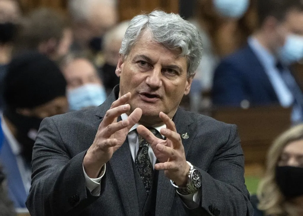 Conservative MP for Louis-Saint-Laurent Gerard Deltell rises during Question Period on Dec. 7, 2021 in Ottawa. (The Canadian Press/Adrian Wyld)