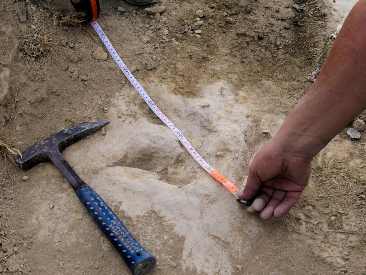 Researchers measure a fossilized dinosaur footprint made about 120 million years ago, during the Cretaceous Period, in the La Rioja region, in northern Spain. (Alberto Labrador/Handout via Reuters)