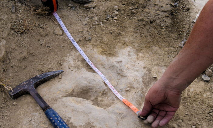Researchers measure a fossilized dinosaur footprint made about 120 million years ago, during the Cretaceous Period, in the La Rioja region, in northern Spain. (Alberto Labrador/Handout via Reuters)