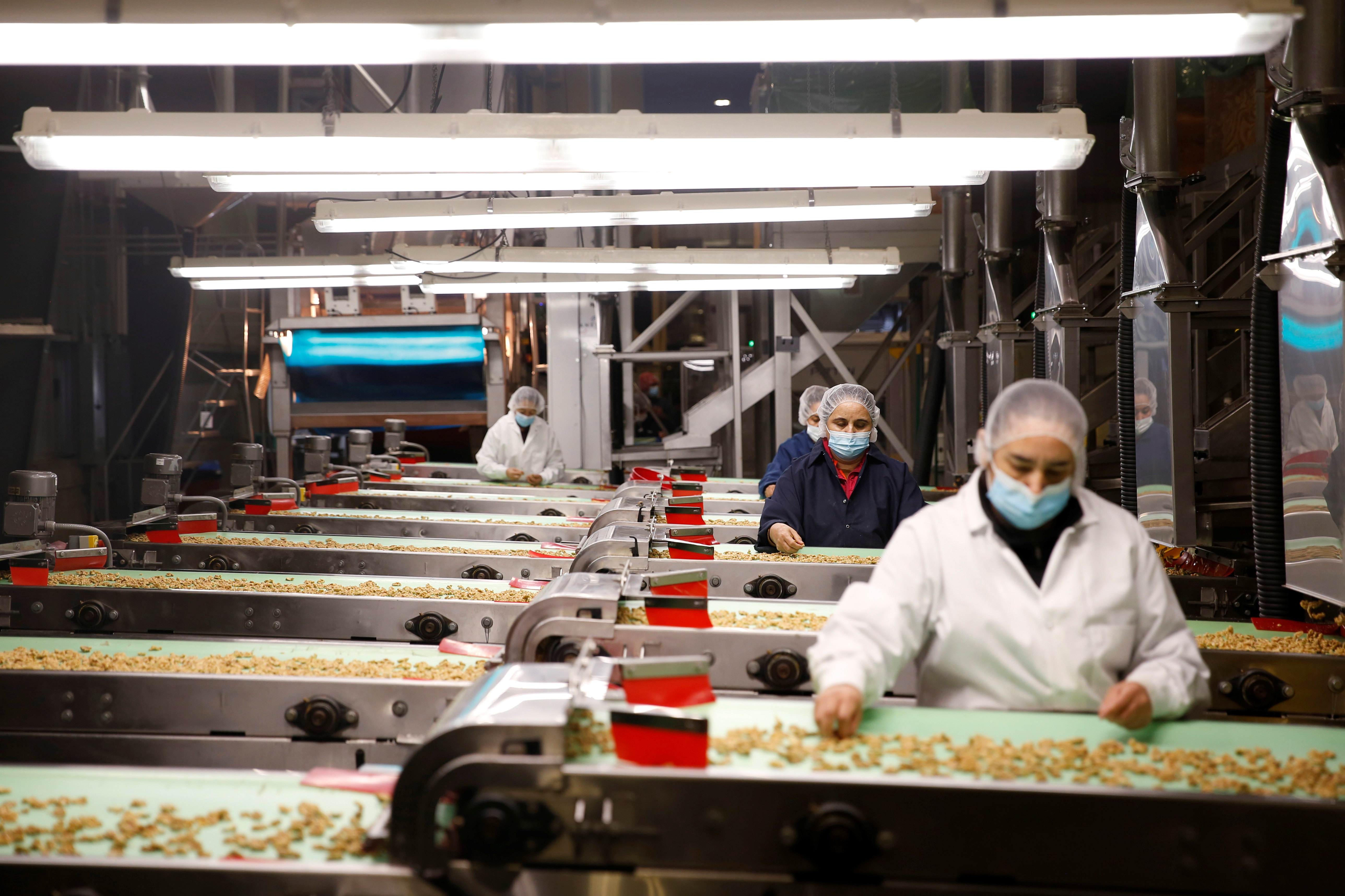 Walnuts for Holiday Baking Languish as US Shipping Crisis Hurts Farmers - Vimarsana News