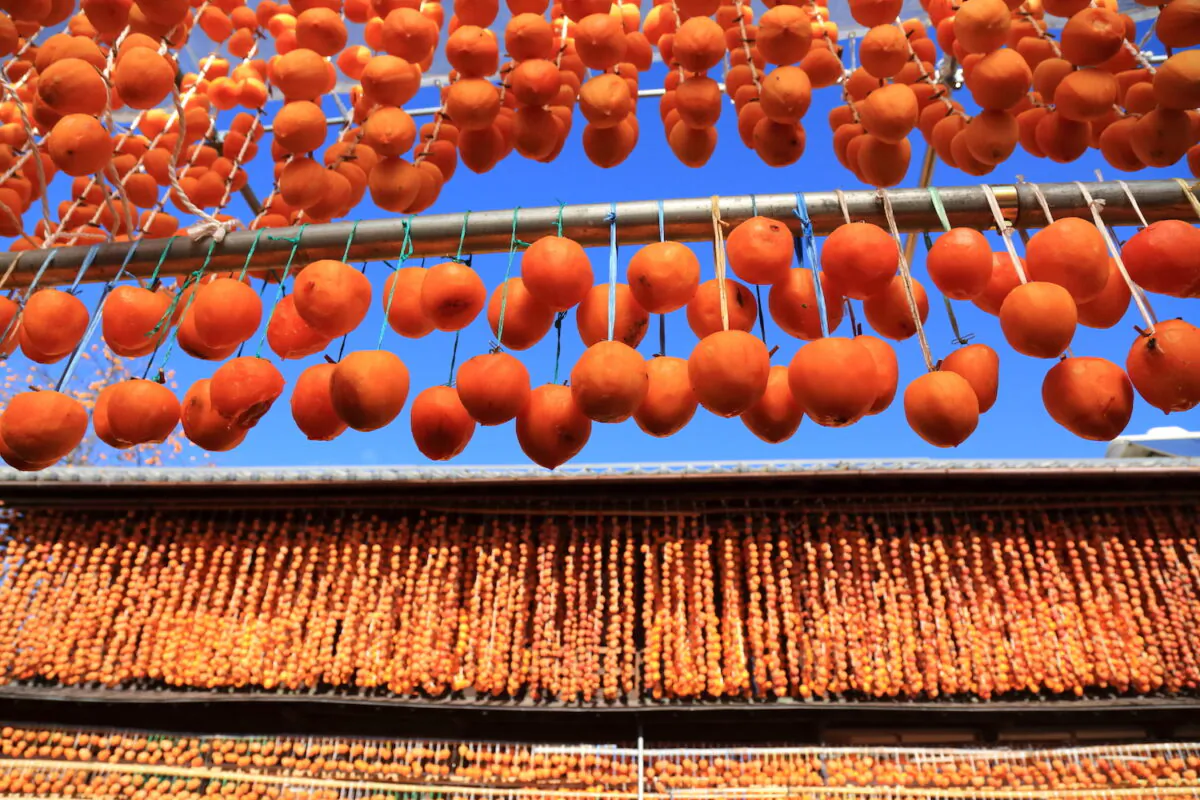 Hanging strings of hoshigaki are a common sight in rural Japan, where the making is a seasonal rite. (Shutterstock)