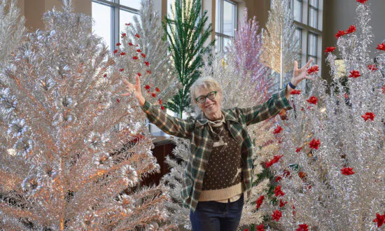 Sparkling Forest From Christmases Past Lights Up Wisconsin Town