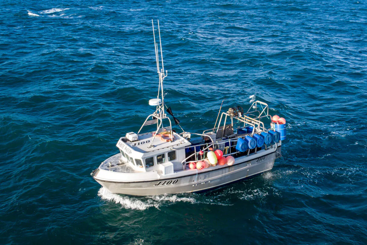 Fisherman Jack Bailey, 25, lands crabs and lobster on his boat, White Waters, during a days fishing in the English Channel off the coast of Jersey, on Nov. 3, 2021. (Ben Birchall/PA)