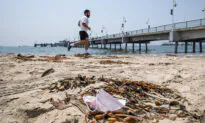Global Face Mask Pollution Increased Over 8,000 Percent Due to Mandates: Study