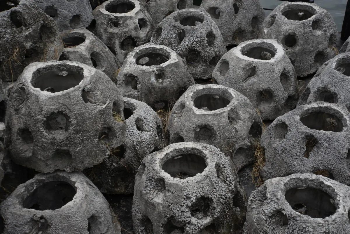 Concrete reef-balls are prepared to be dunk offshore Puerto Quetzal, south of Guatemala City on Dec. 13, 2016. (Orlando Estrada/AFP via Getty Images)