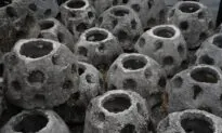 San Diego Port Installing 300 ‘Reef Balls’ As Pilot Oyster Living Shoreline Begins