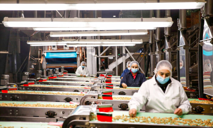 Workers hand sort shelled walnuts along conveyor belts at GoldRiver Orchards, in Escalon, Calif., on Nov. 16, 2021. (Brittany Hosea-Small/Reuters)
