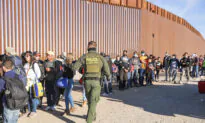 Rising Number of Deportation Cases Automatically Dismissed Over Failure to Provide Key Documents: Report