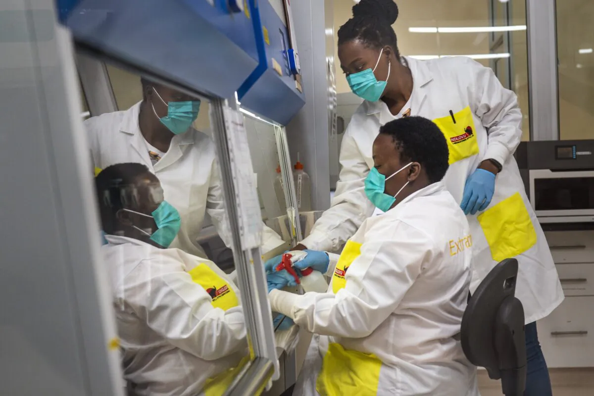 Melva Mlambo, right, and Puseletso Lesofi, both medical scientists prepare to sequence COVID-19 omicron samples at the Ndlovu Research Center in Elandsdoorn, South Africa, on Dec. 8, 2021. (Jerome Delay/AP Photo, File)