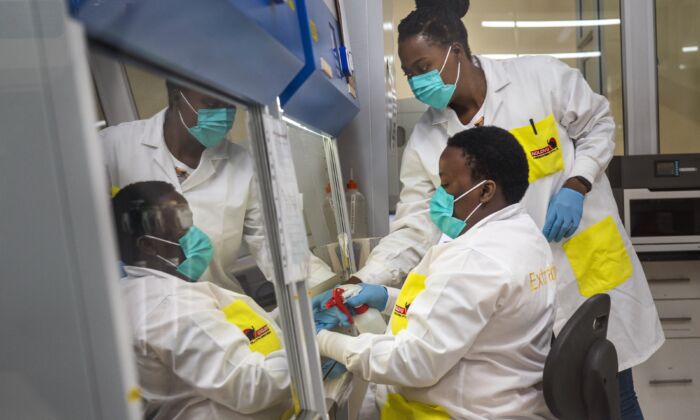 Melva Mlambo, right, and Puseletso Lesofi, both medical scientists prepare to sequence COVID-19 omicron samples at the Ndlovu Research Center in Elandsdoorn, South Africa, on Dec. 8, 2021. (Jerome Delay/AP Photo)