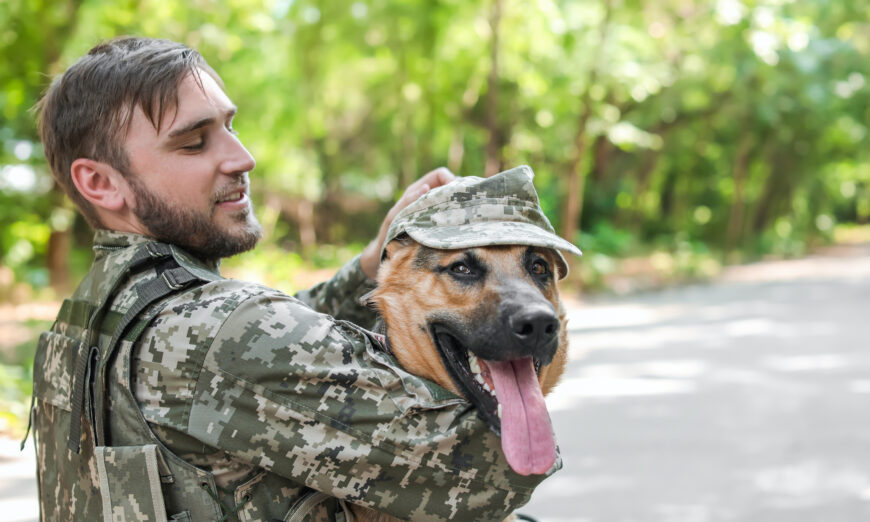 How Service Dogs Help Veterans With Ptsd