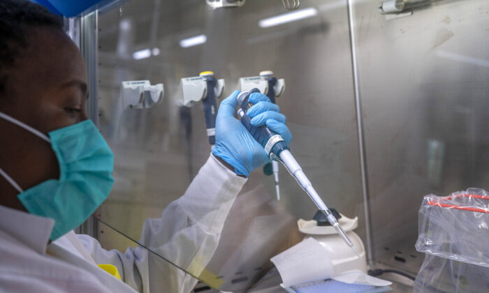 Puseletso Lesofi prepares to sequence Omicron new coronavirus samples at the Ndlovu Research Center in Elandsdoorn, South Africa, Dec. 8, 2021. (Jerome Delay/AP)