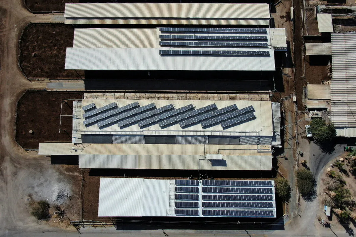 An aerial view of cowsheds at Augwind's commercial facility, which provides a new technological solution for storing and producing energy, in Kibbutz Yahel, Israel, on Nov. 30, 2021. (Ammar Awad/Reuters)