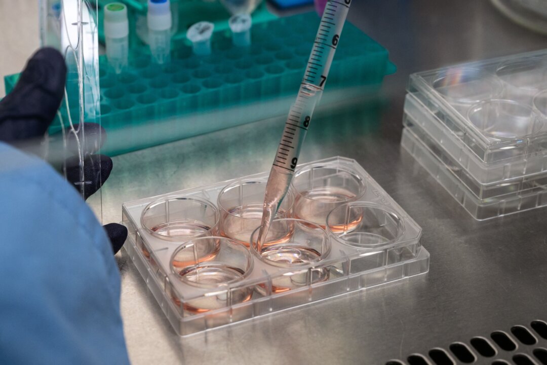 A laboratory test at the Transgene biotech firm, which is working to develop a neoantigen cancer vaccine, in Illkirch-Graffenstaden, France, on Nov. 17, 2021. (Patrick Hertzog/AFP via Getty Images)