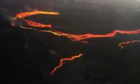 La Palma Volcano’s Tremors Stop, but Eruption May Not Be at an End