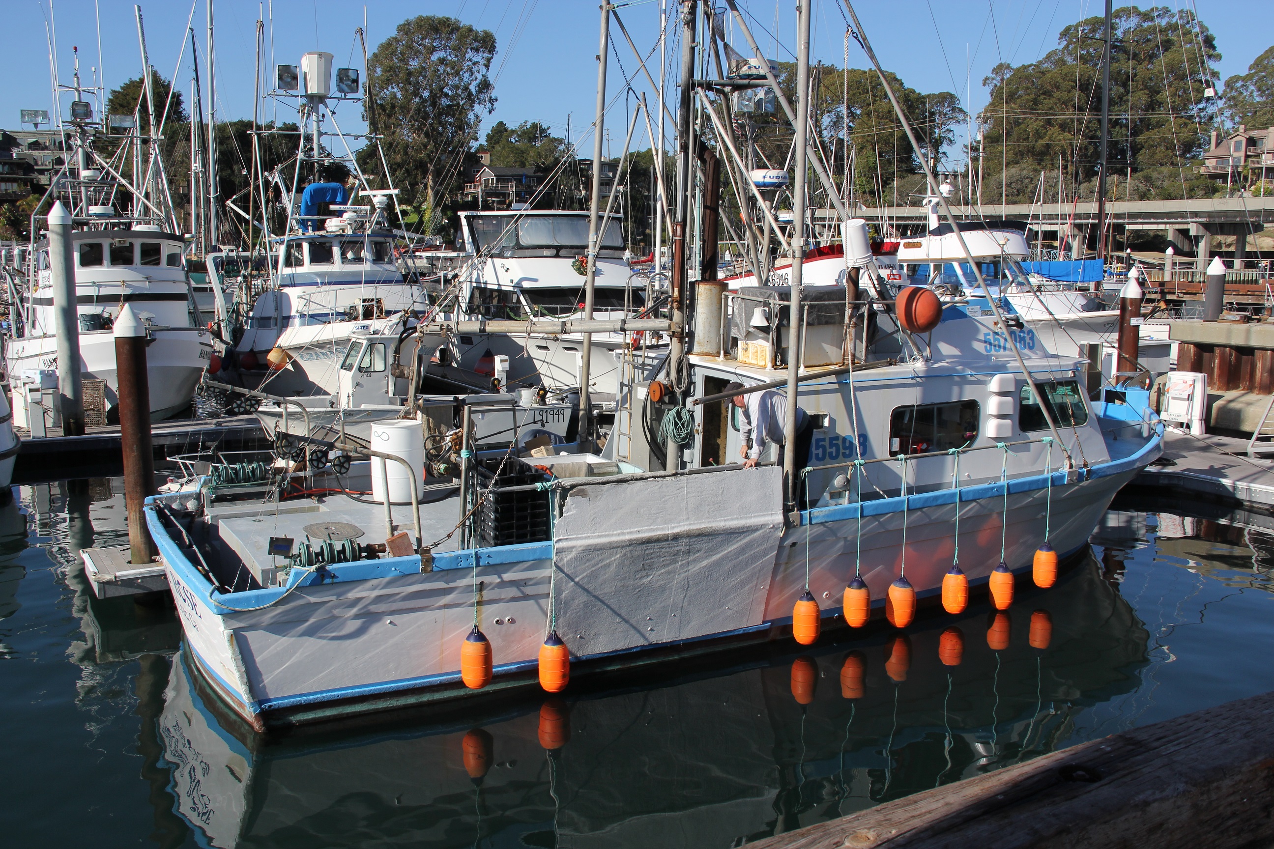 California Monterey Bay Area Open for Crabbing After Delay - Vimarsana News