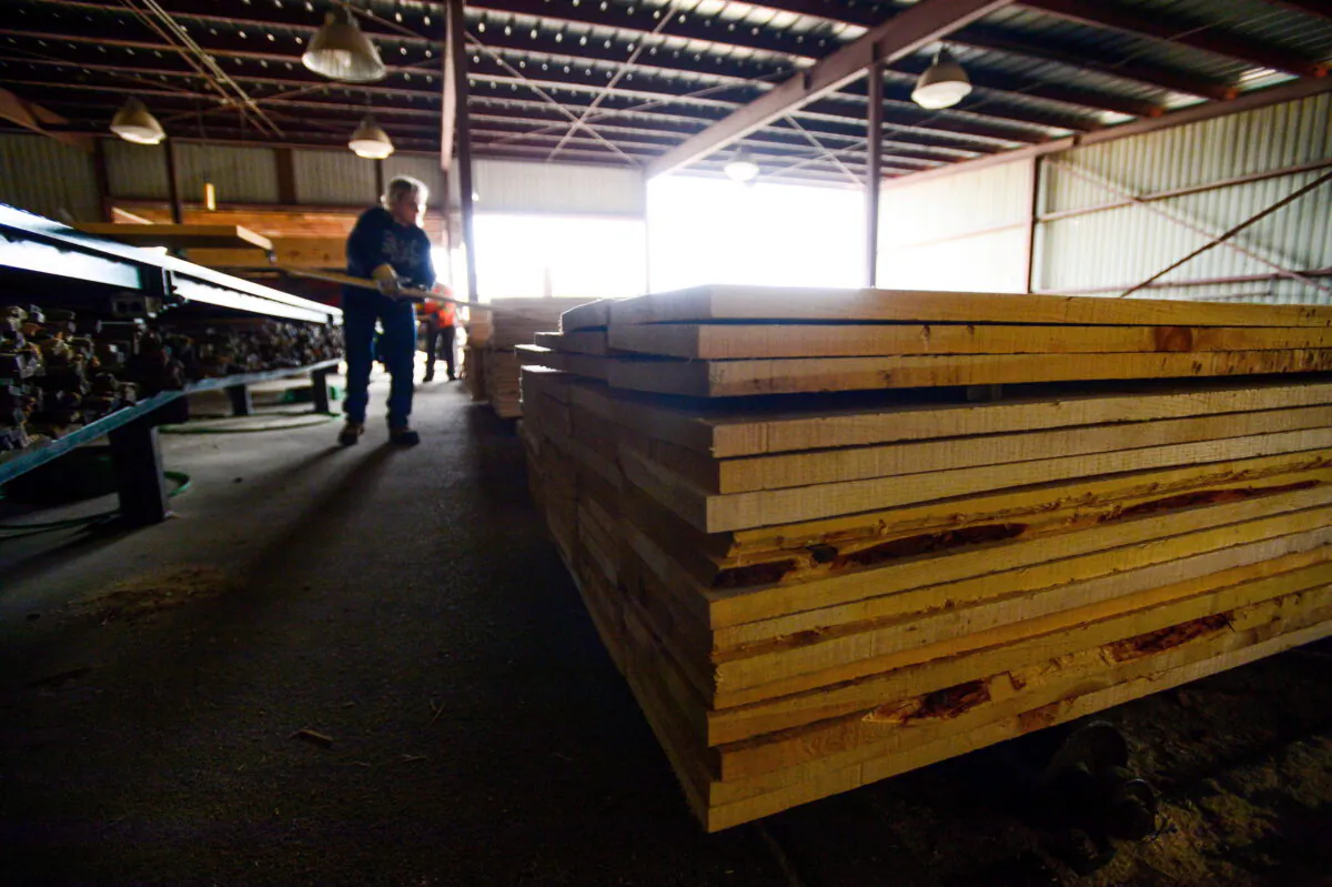 Workers sort softwood in a workshop in Madawaska, Ont., on April 25, 2017. (The Canadian Press/Sean Kilpatrick)