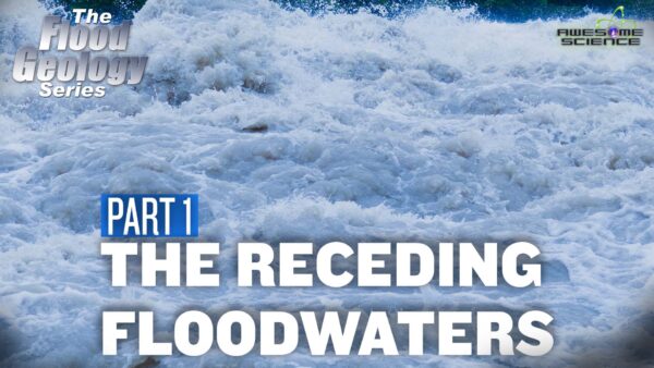 Flood Geology Series (Episode 10):  Receding Floodwaters Part2